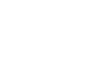 Streamlined Workflow
